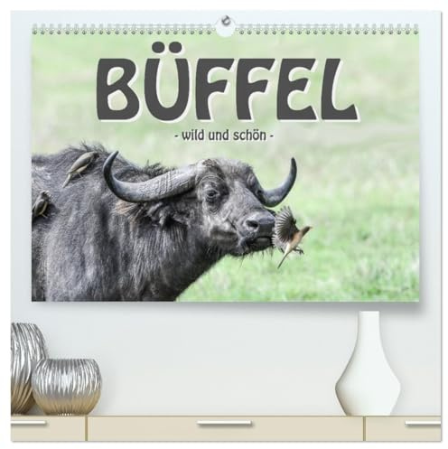 Büffel - wild und schön (hochwertiger Premium Wandkalender 2026 DIN A2 quer), Kunstdruck in Hochglanz: Teil der BIG FIVE und anmutend schön (CALVENDO Tiere)
