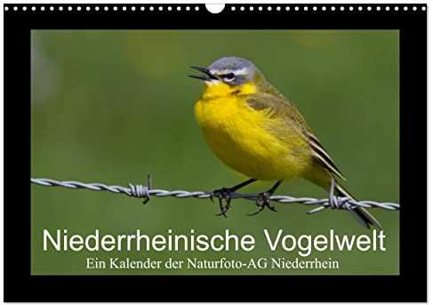 Niederrheinische Vogelwelt (Wandkalender 2026 DIN A3 quer), CALVENDO Monatskalender: Große und kleine Vögel am Niederrhein (CALVENDO Tiere)
