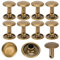 Cikonielf 200 Ensembles Double Cap Rivet Rivets en Cuir Tubulaires Goujons en Métal pour Cuir Artisanat Réparations Sacs Ceintures Chapeau Chaussures Couture Décoration 10x10mm(Bronze)