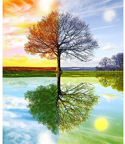 Puzzle 1000 Pièces, Puzzle Adulte, Quatre saisons d'arbres Puzzle 1000 Pièces Adulte, Jeu de Puzzle pour Adultes Enfants, Jouets Cadeau Famille Adulte 26X38cm（10.23 * 14.96inch）