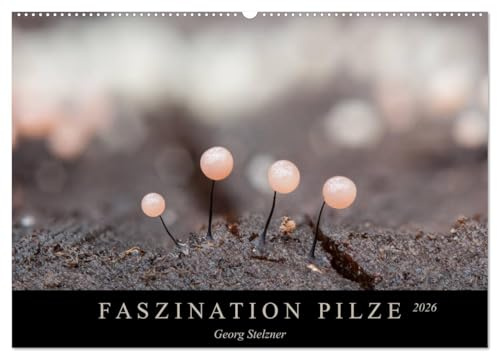 FASZINATION PILZE 2026 (Wandkalender 2026 DIN A2 quer), CALVENDO Monatskalender: Die skurile Welt der Schleimpilze (CALVENDO Natur)