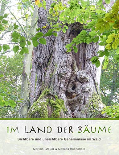 Im Land der Bäume: Sichtbare und unsichtbare Geheimnisse im Wald
