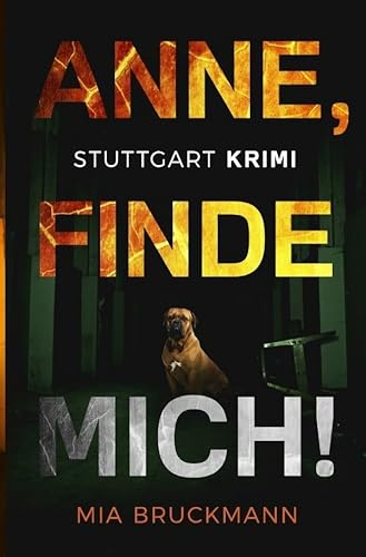 Anne, finde mich!: Kriminalroman