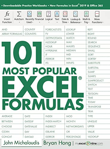 101 Most Popular Excel Formulas (101 Excel Series, Band 1)