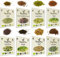 SaatPur® Saatgut Bio-Keimsprossen Sortiment 8er Set, hohe Keimkraft, Micro-Greens für vitaminreiche, vegane Ernährung, Keimsaat Sprossen Samen mikrobiologisch untersucht, Graspapier-Verpackung