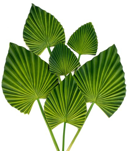 Hollyone 6 Stück Künstliche Pflanze Blätter Tropische, PU Kunstpflanze Palmblätter, Künstliche Tropische Blätter mit biegsamen Stiel für Hochzeit Party Haus Dekoration Büro DIY-Blumenarrangeme