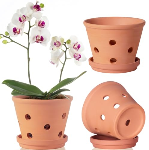 Lot de 3 pots à orchidée en terre cuite de 15,2 cm avec trous, soucoupes, pour rempotage, petit pot en terre cuite, intérieur et extérieur, favorise la circulation de l'air