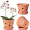 Lot de 3 pots à orchidée en terre cuite de 15,2 cm avec trous, soucoupes, pour rempotage, petit pot en terre cuite, intérieur et extérieur, favorise la circulation de l'air