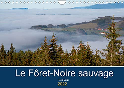 La Fôret-Noire sauvage (Calendrier mural 2022 DIN A4 horizontal): Région allemande frontalière de la France, entre autres de l'Alsace, avec de magnifiques paysages (Calendrier mensuel, 14 Pages )
