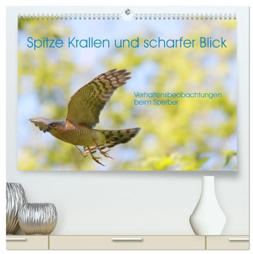 Spitze Krallen und scharfer Blick - Verhalten Sperber (hochwertiger Premium Wandkalender 2026 DIN A2 quer), Kunstdruck in Hochglanz: Gezeigt werden ... eines Sperberbrutpaares. (CALVENDO Tiere)