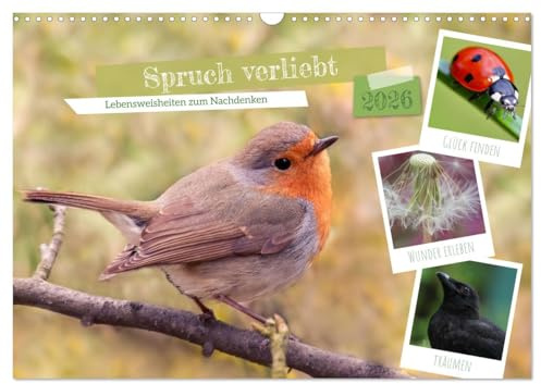 Spruch verliebt (Wandkalender 2026 DIN A3 quer), CALVENDO Monatskalender: Lebensweisheiten fürs Herz und zum Nachdenken. (CALVENDO Glaube)