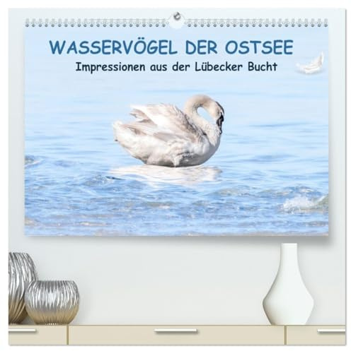 Wasservögel der Ostsee - Impressionen aus der Lübecker Bucht (hochwertiger Premium Wandkalender 2026 DIN A2 quer), Kunstdruck in Hochglanz: Maritime Aufnahmen von Wasservögeln. (CALVENDO Tiere)