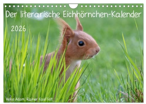 Der literarische Eichhörnchen-Kalender (Wandkalender 2026 DIN A4 quer), CALVENDO Monatskalender: Positive Sprüche mit passenden Fotos von Eichhörnchen. (CALVENDO Tiere)