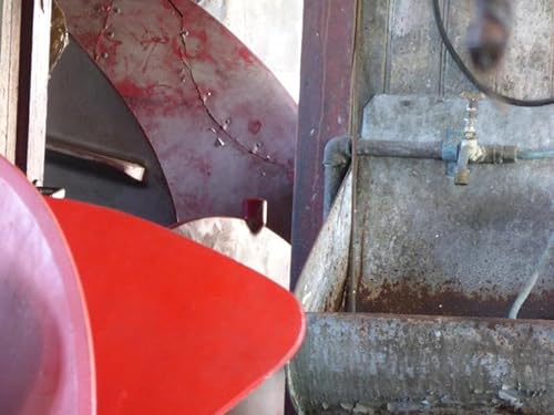 Harøy & andere Orte am Meer: Fotografie