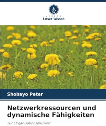 Netzwerkressourcen und dynamische Fähigkeiten: zur Organisationseffizienz