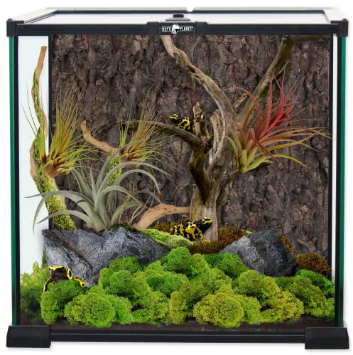 ReptiPlanet Glas Terrarium 30x30x30cm