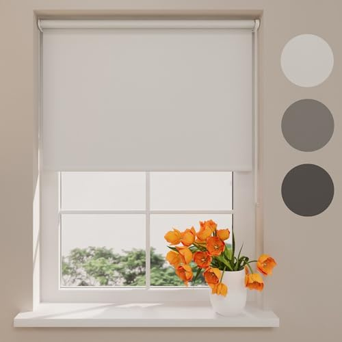 Radeco® Verdunklungsrollo ohne Bohren klemmfix 60 x 150 cm (BxH) hellgrau, Fenster rollos für innen, Rollo ohne Bohren, klemmrollo, fensterrollo, verdunkelungsrollo, rollos für Fenster ohne Bohren