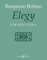 Elegy: For Solo Viola