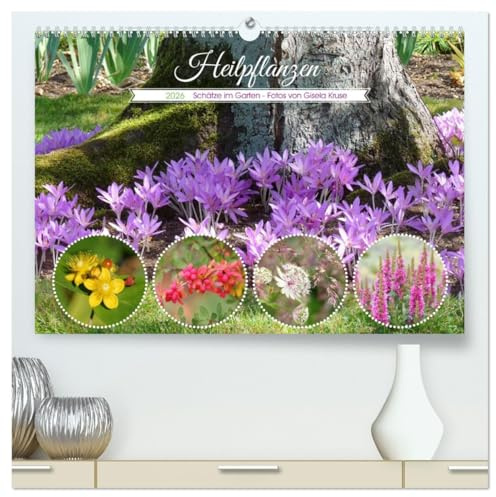 Heilpflanzen - Schätze im Garten (hochwertiger Premium Wandkalender 2026 DIN A2 quer), Kunstdruck in Hochglanz: Überraschend viele Pflanzen in unseren ... in der Naturmedizin (CALVENDO Gesundheit)