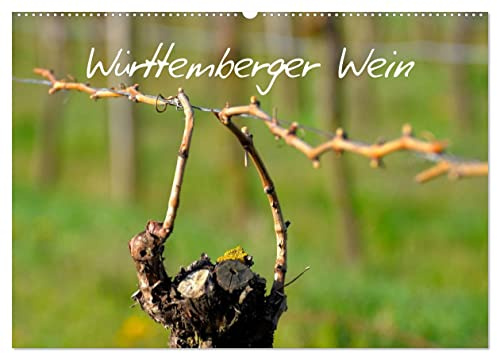 Württemberger Wein 2026 (Wandkalender 2026 DIN A2 quer), CALVENDO Monatskalender: 13 Motiven aus dem Weinland (CALVENDO Natur)