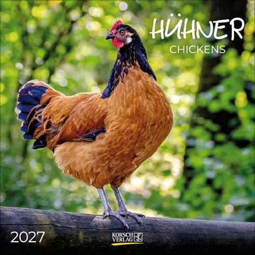 Hühner 2027: Broschürenkalender mit Ferienterminen. Tierkalender mit viel Platz für Notizen. Mit Monatskalendarium zum Eintragen. 30 x 30 cm