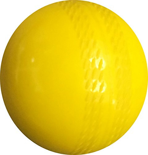 Windball Cricket Training Indoor Training Coaching Ball