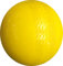Windball Cricket Training Indoor Training Coaching Ball