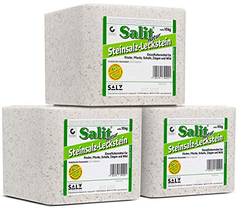 Paradies Pool GmbH Salit Steinsalz Leckstein Natur 30kg für Rinder, Schafe, Ziegen, Pferde und Wild