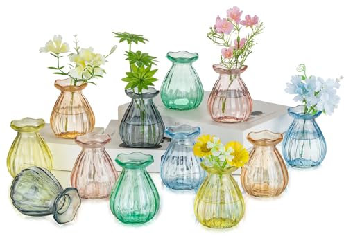 HHewory Kleine Vasen für Tischdeko Esstisch: 12er Vasen Set Kleine Glasvasen Set für Hochzeitsdeko Tisch - Cute Deko Vase Bunt Mini Vasen Blumenvase Glas für Kawaii Deko Wohnzimmer Home