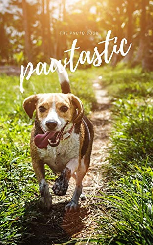 Pawtastic
