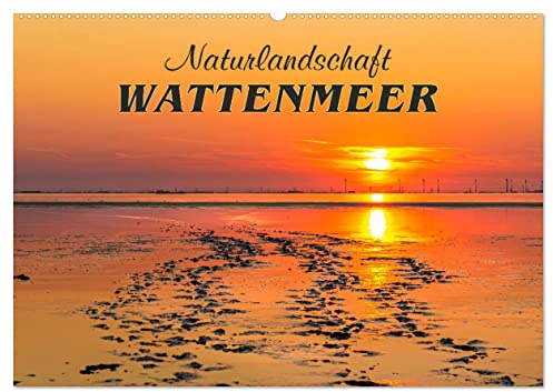 Naturlandschaft WATTENMEER (Wandkalender 2026 DIN A2 quer), CALVENDO Monatskalender: Nationalpark und Weltnaturerbe an der Nordseeküste (CALVENDO Natur)