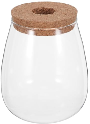 Veemoon Terrarium pour Plantes Fleuries Vase de Propagation - Pot de Table en Verre - Vase en Verre avec Couvercle pour Fleurs Hydroponiques