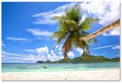 Postereck - 1909 - Palme, Meer Strand Sand Urlaub Sommer Entspannung - Wandposter Fotoposter Bilder Wandbild Wandbilder - Poster - 3:2-30,0 cm x 20,0 cm