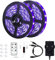 10 m UV-Lichtstreifen, Schwarzlicht mit Fernbedienung, 395 nm, 600 LEDs, 12 V/3 A, flexible Schwarzlicht-Befestigungen für Halloween, Party, Körperfarbe, Schlafzimmerdekoration, Schwarzlicht, Partys,