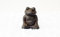 Gwenys Haus Yoga Frosch Gusseisen