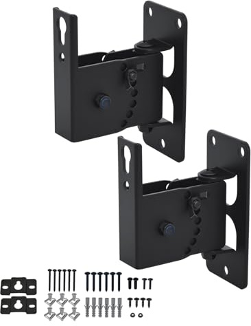 DAGCUXIN Speaker Wall Mount Bracket, Swivel & Tilt, 2 Packs | All Metal Wall Speaker Mount for Small Speakers,Holds up to 30 lbs,Secure Hold,Easy DIY Assembly,DX-618,Black