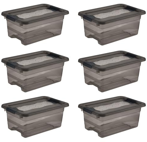 keeeper cornelia 6x Aufbewahrungsbox mit Deckel und Schiebeverschluss, 29,5 x 19,5 x 12,5 cm, 4 l, Crystal Grey