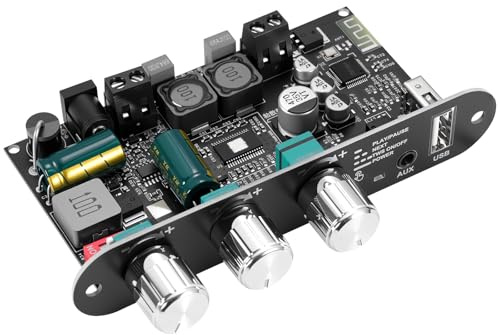 ZK-1001U Amplificador Mono Bluetooth 5.3 HiFi Estéreo con Conexión TWS y Circuito de Potenciación, Salida de 100 W, Mini Amplificador de Audio para Altavoces DIY en Interiores y Exteriores, Entradas U