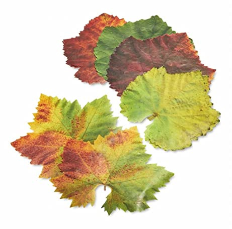 Parchment Paper Leaves for Plate & Table Décoration, ideal for Cheese & Charcuterie Boards - Sisson Leaves, Grape Variety, Pack of 20. Made in USA with French Parchment Paper. Rinse clean, dry, reuse.
