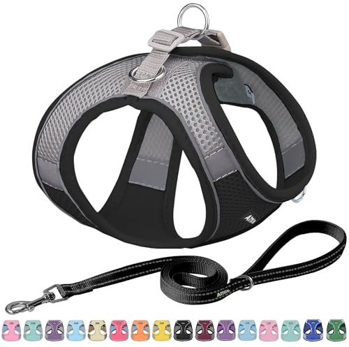 AIITLE Bequemes Hundegeschirr und Leine Set zum Gassi gehen - Step in Vest Harness, Reflektierende Bänder, Einstellbare No Pull Puppy Essentials, für kleine Hunde und Hauskatzen Schwarz XS