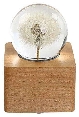 Plant Specimen Crystal Ball Dandelion Music Box Rotating Music Box Wooden Beech Wood Resin Ornaments Musician Collections-Meet