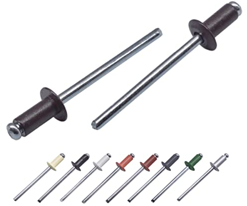Lot de 100 rivets aveugles peints 4,0 x 10 mm, tête bombée, DIN 7337, rivets en aluminium et mandrin en acier, rivets pop (100, gris marron RAL 8019)