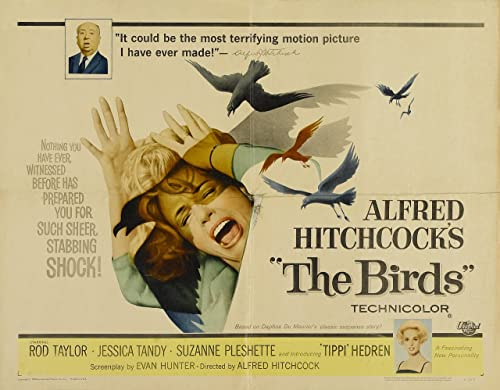 the birds poster hitchcock Poster A2 - Filmkunstposter in verschiedenen Größen für Wohn- oder Schlafzimmerideen. Randlose Kultfilmbilder, klassische ikonische 70er, 80er, 90er Jahre, Vintage-Retro-Wa