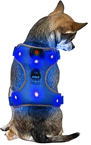 Klein Blau Wiederaufladbare USB LED Hundegeschirr - Beleuchtetes Sicherheitsgeschirr Aufladbar Licht Hunde Weste Zubehör