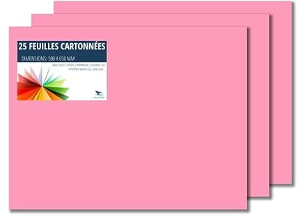Raylu Paper – Papier Cartonné 50 x 65 cm Coloré, 25 Feuilles Cartonnées, Papier Epais de Couleur, pour l’Ecole, le Bureau, le Scrapbooking, les Activités Manuelles, 180g/m² (Rose Bonbon)