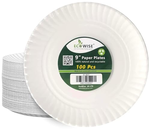 EcoWise 23cm Large Disposable Paper Plates - Pack of 100 Ecofriendly Biodegradable Paper Plates, Birthday Party Plates Ideal for Christmas Party, Picnic BBQ Work Disposable Plates for HOT Cold Food