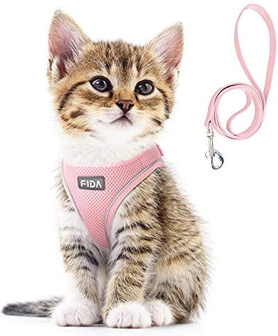 Fida Bequemes Hundegeschirr mit Leine, Katzenweste, ausbruchsicher, atmungsaktiv, leicht, weiches Netzgewebe, verstellbar, reflektierend, für Welpen, Rassen und extra kleines Haustier (XXS, Rosa)