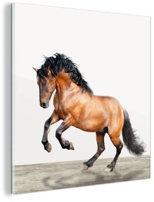 Glasbild Glasfoto Wandbild Bilder Deko 20x20 cm Pferd - Tiere - Weiß - Jungen - Mädchen - Kinder