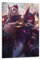 LASOQUAN Xayah & Rakan Vertikales Poster, dekoratives Gemälde, Leinwand, Wandposter und Kunstdruck, moderne Familienschlafzimmer-Dekoration, Poster, 20 x 30 cm
