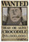 One Piece Crocodile Wanted Poster, dekoratives Gemälde, Leinwand, Wandposter und Kunstbild, modernes Familien-Schlafzimmer, Dekoration, Poster, 20 x 30 cm, einteiliges Poster mit Krokodil Wanted